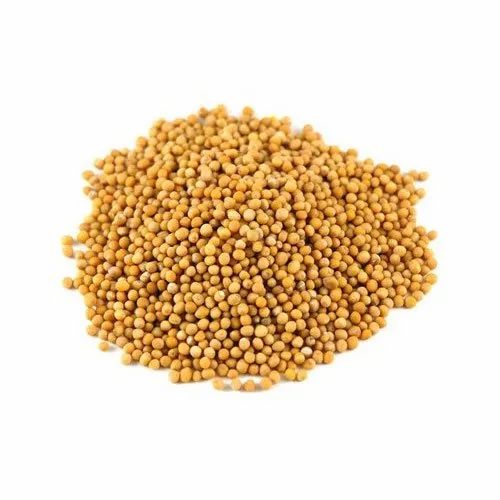 Maroon Overseas 99% Yellow Mustard Seed, Packaging Size: 25 kg,50 kg, Packaging Type: PP Bag