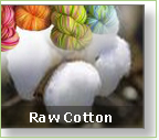 Cotton