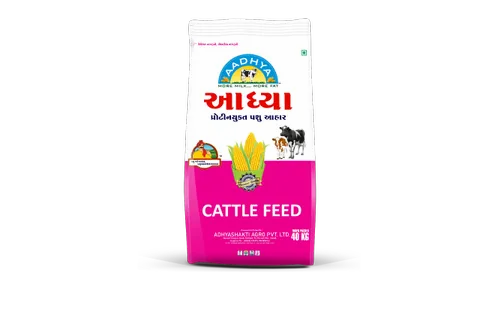 Maize Oil Cake Cattle Feed