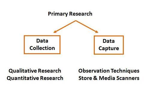 Primary Research Services