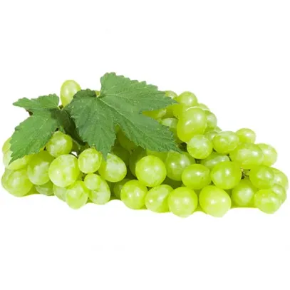 Online grapes
