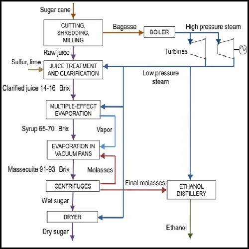 Sugar Plant