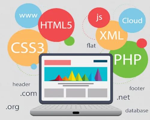 Dynamic Website Development Service