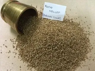 Indian Vedah Farms Organic Kodo Millet, Gluten Free, Packaging Size: 25 Or 50 Kgs Bags