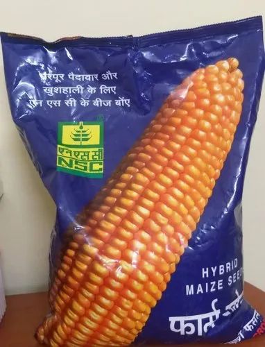 Yellow Hybrid Maize Bio 9637, Packaging Type: Polythene Packs, Packaging Size: 4 Kgs