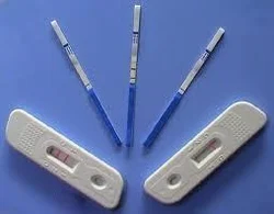 HIV Test Kit