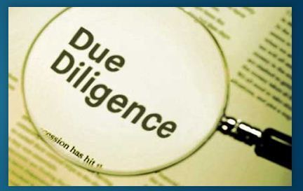 Due Diligence Services