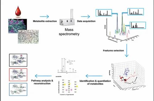 Untargeted Metabolomics