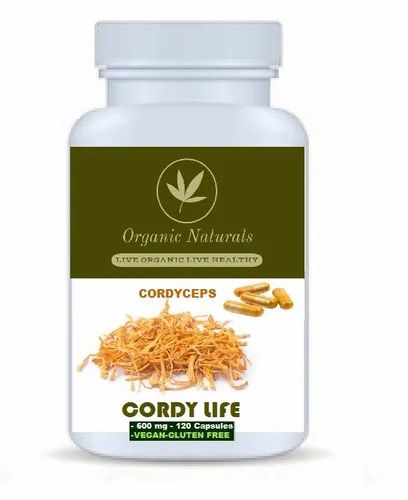 Dry Boost Energy Cordyceps Capsule, Cordceps Militaris, Grade Standard: Food Grade