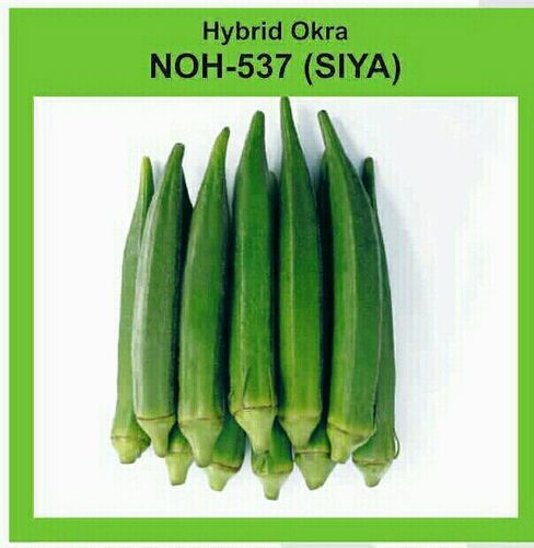 Siya Hybrid Bhendi seed, Pack Size: 250 Grms In Tin, 500 Grams