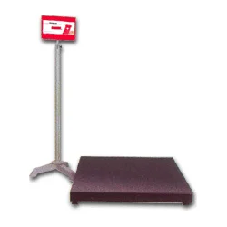 Floor Scale