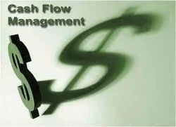 Cash & Fund Flow Management