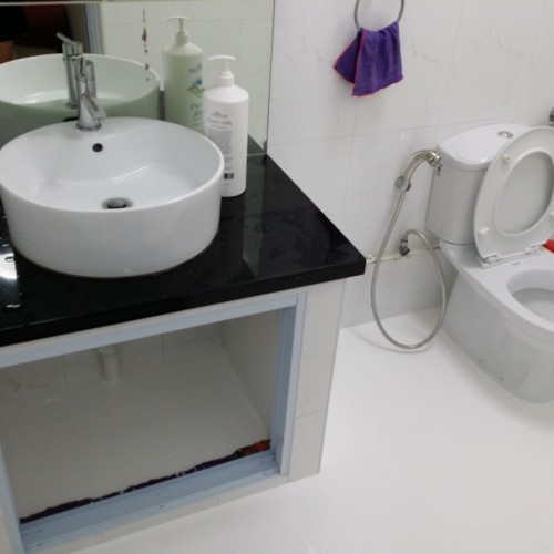 Toilet Bathroom Waterproofing Service