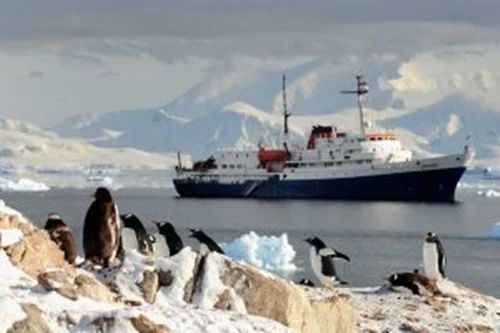 9 Antarctica Group Tour Service