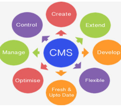 Content Management Service