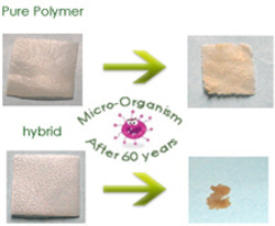 Biodegradable Polymer