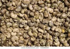 Raw Cashew Nuts, Packaging Size: 80 Kg