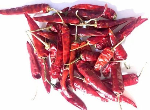 Guntur Endo 5 Dried Red Chilli, 40 kg carton/Jute