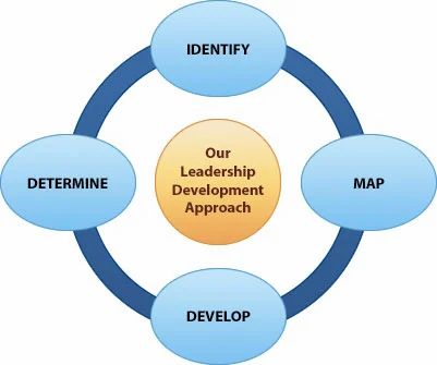 Leadership Development & Executive Coaching