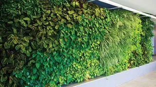 Living Wall