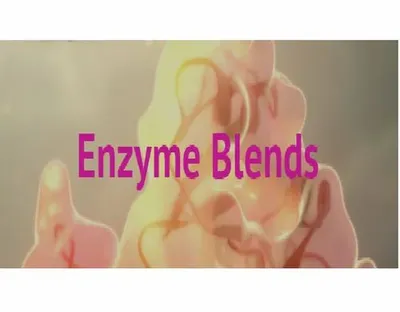 Enzyme Blends