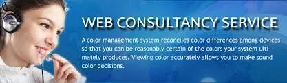 Development Consultancy Service