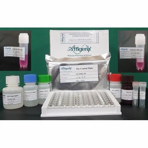 Insulin Receptor Assay Kit