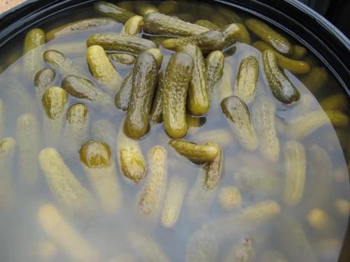 Fermented Cucumber in Drums