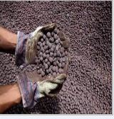 Iron Ore Pellets