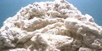 Cotton Waste