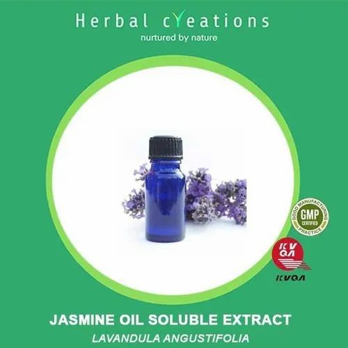 Herbal Creations Jasmine Oil Soluble Extract Lavendula Angustifolia, Packaging Type: Hdpe Can