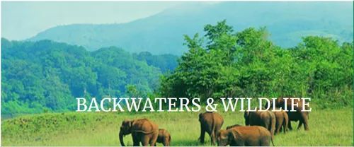 Backwaters And Wildlife Tour Package Service