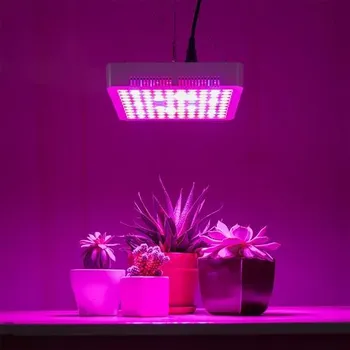 Home LED Grow Light