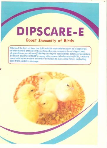 Boost Immunity Of Birds