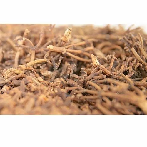 Brownish Black Madagascar 25 Kg Clove Stem