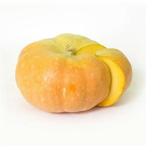 A Grade Frozen Pumpkin