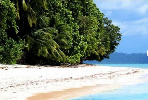 Andaman Tours