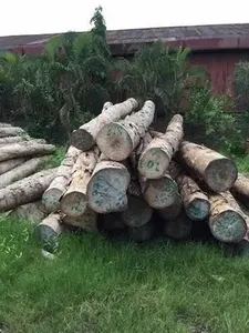 Gamar Wood Logs