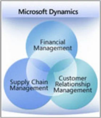 Microsoft Dynamics Service
