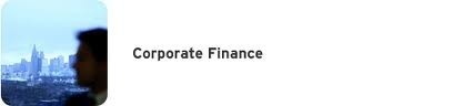 Corporate Finance Syndication
