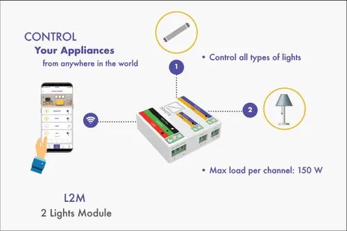 Light Module