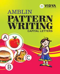 Amblin Capital Writing Book