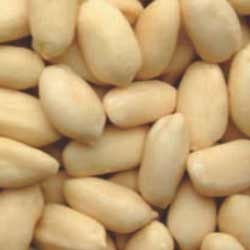 Blanched Peanut