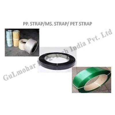 PP/MS & Pet Strap