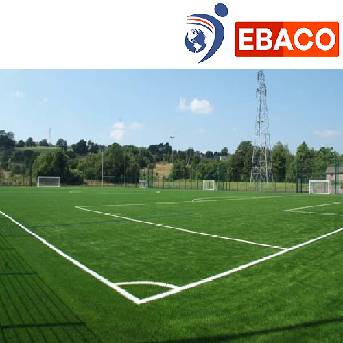 Ebaco Green Artificial Football Turf