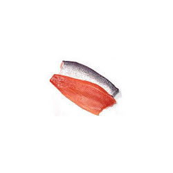 Fresh Salmon Fillet