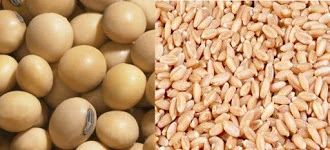 Soybean and Wheat Seeds