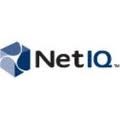 Net IQ Services