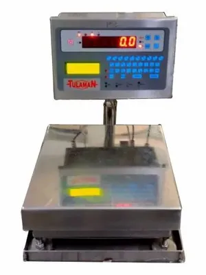 Tulaman SS Electronic Static Check Weigher, Size: 400x400mm, 100kg