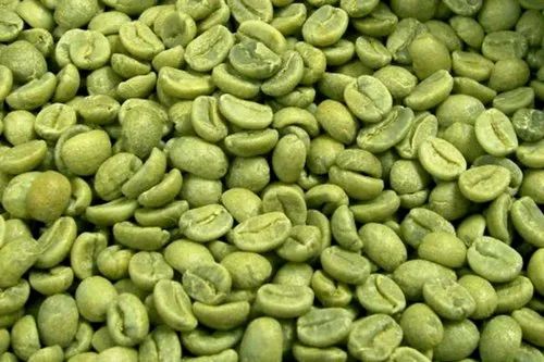 Green Coffee Extract, Packaging Size: 25 Kgs